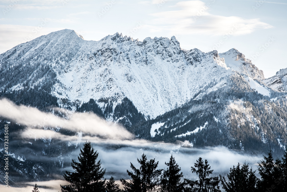 Winterlandschaft / Vorarlberg