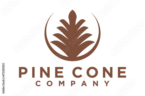 Pine conifer cone, pineapple leaves crown, aloe vera, agave luxury elegant logo design vector
