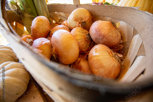 Fresh onions in a basket photo