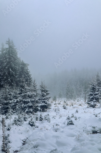 Schöne Winterlandschaft auf den Höhen des Thüringer Waldes bei Schmiedefeld - Thüringen © Oliver Hlavaty