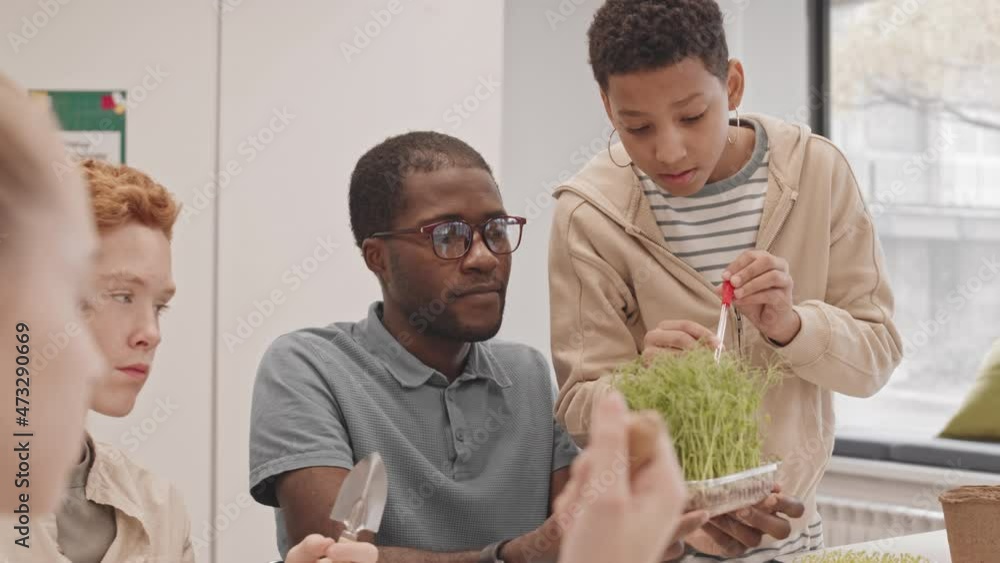 Low angle of young intelligent man holding container with green sprouts, sitting at table in classroom with red-haired boy, Black girl dripping fertilizer on it, having botany lesson Low angle of young intelligent man holding container with green sprouts, sitting at table in classroom with red-haired boy, Black girl dripping fertilizer on it, having botany lesson