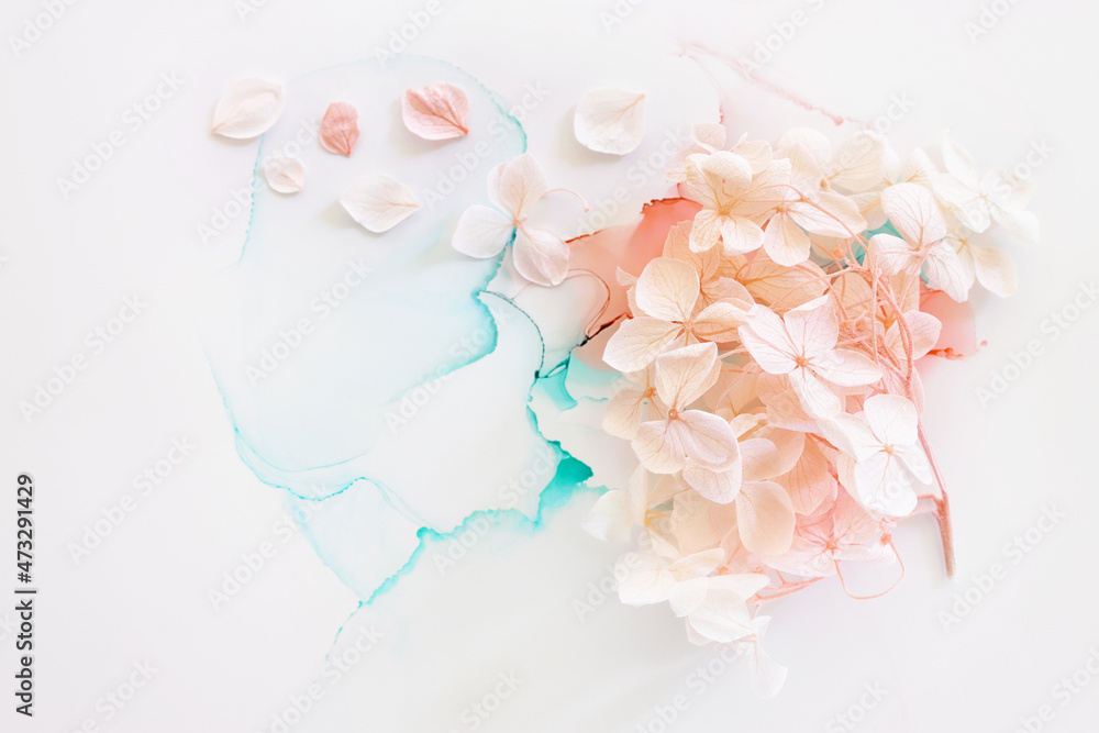 Creative image of pastel blue and pink Hydrangea flowers on artistic ink background. Top view with copy space Creative image of pastel blue and pink Hydrangea flowers on artistic ink background. Top view with copy space