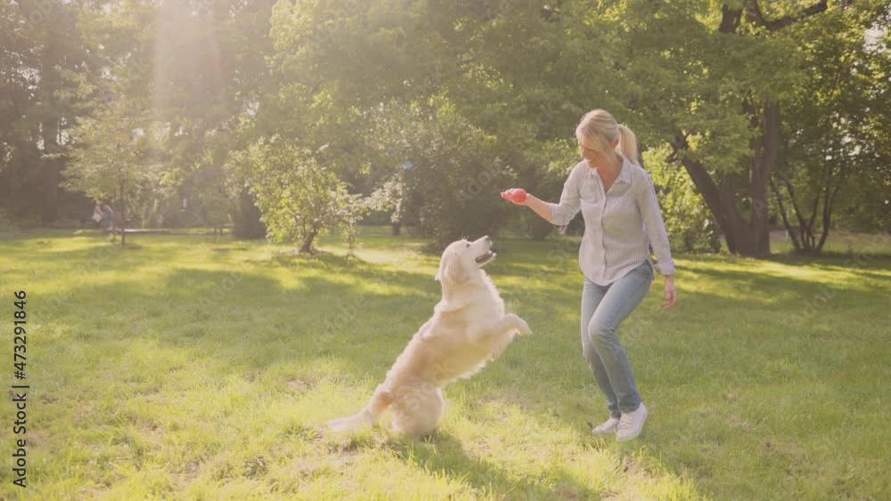 Overjoyed woman carry cute retriever while walking in park. Portrait of happy woman stroll in park with cute dog while enjoying warm summer day together Overjoyed woman carry cute retriever while walking in park. Portrait of happy woman stroll in park with cute dog while enjoying warm summer day together