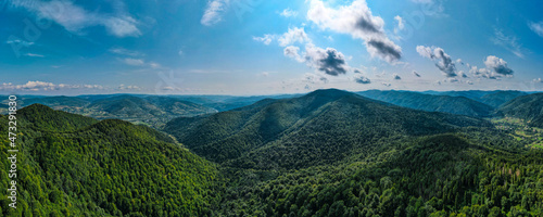 Mountains forest from a height landscape