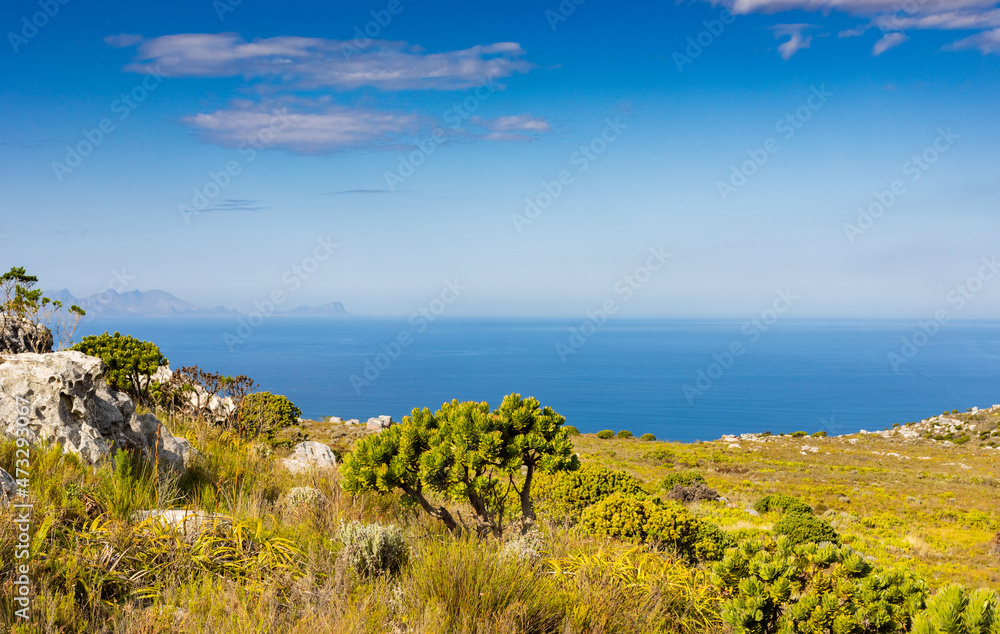 Coastal mountain landscape with fynbos flora in Cape Town