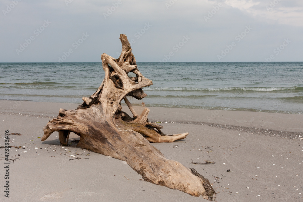 Natural beach on the Baltic coast	