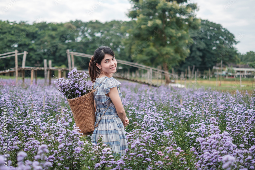 Happy woman tourist in blue dress enjoy in purple Margaret flowers garden. travel, nature, vacation and holiday concept Happy woman tourist in blue dress enjoy in purple Margaret flowers garden. travel, nature, vacation and holiday concept