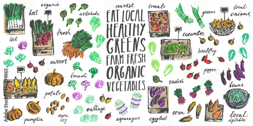 Vegetable market sketch set with lettering. Farm product, organic healthy food in box and basket. Tomato, fruit, onion, pumpkin, tomato, cabbage, potato, corn, eggplant, leek, carrot.