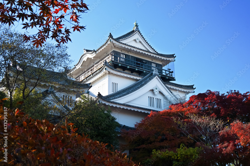 岡崎城の天守閣と紅葉 岡崎城の天守閣と紅葉