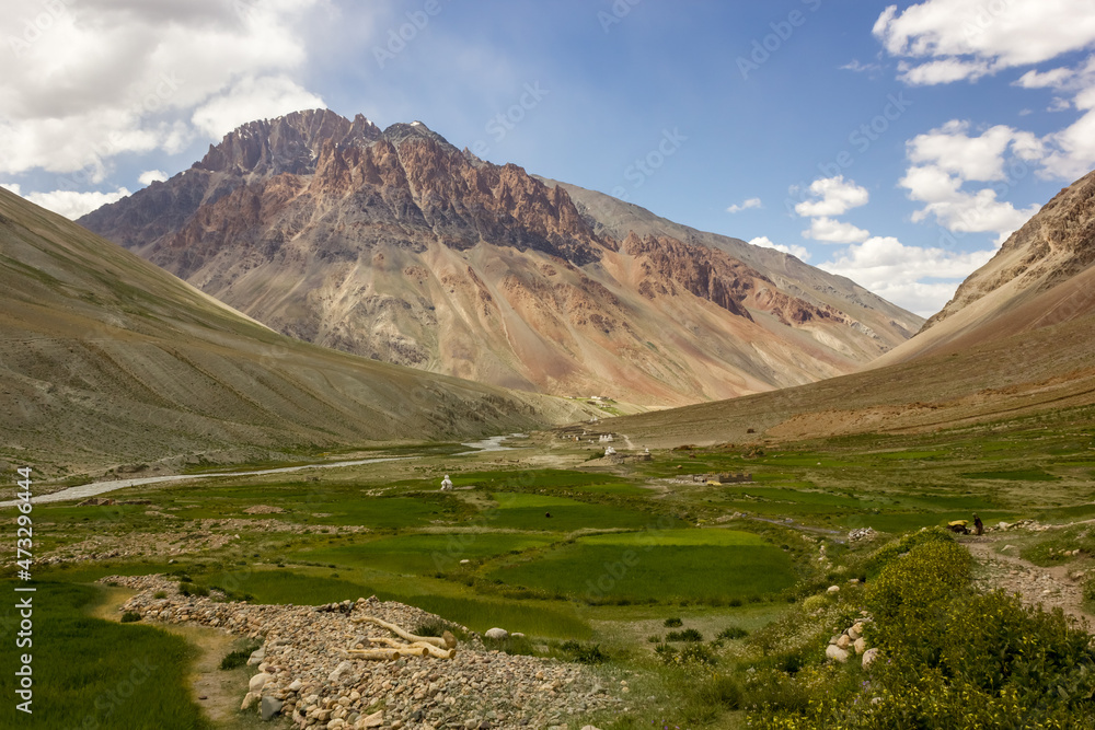 Beautiful landscape of mountains above green fields in the Zanskar valley in Ladakh in the Indian Himalayas.