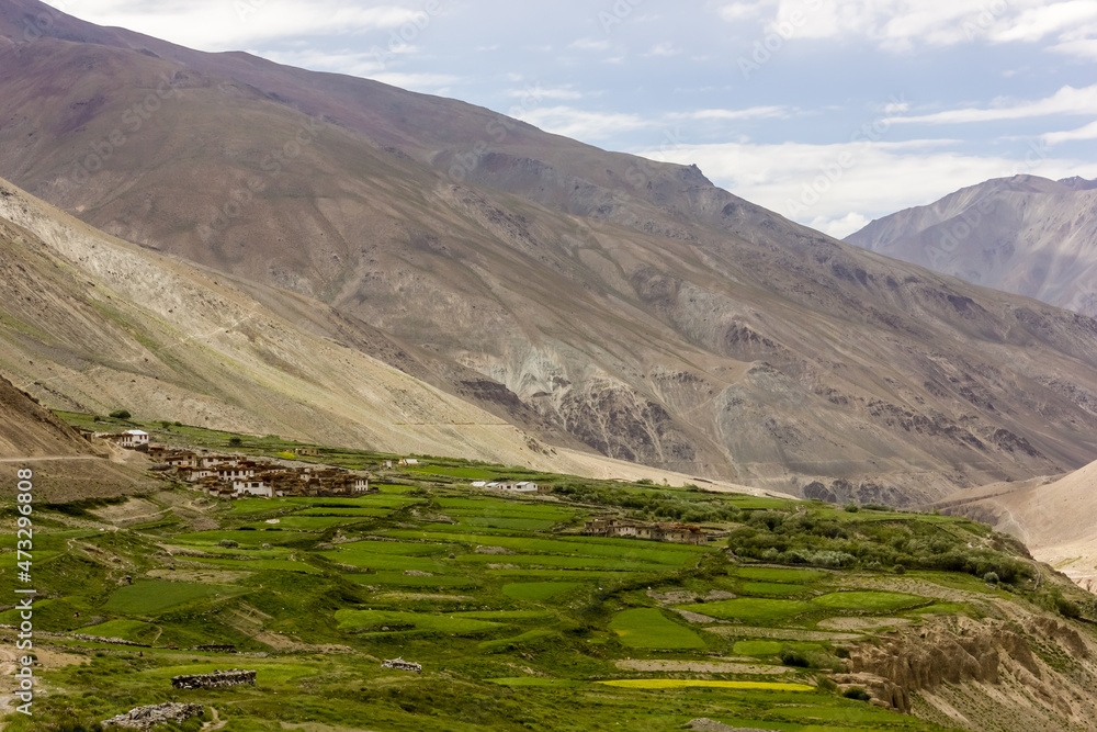 Green fields of the village of Testa surrounded by mountains in the Zanskar valley on the trail from Darcha to Padum in Ladakh in the Indian Himalaya.