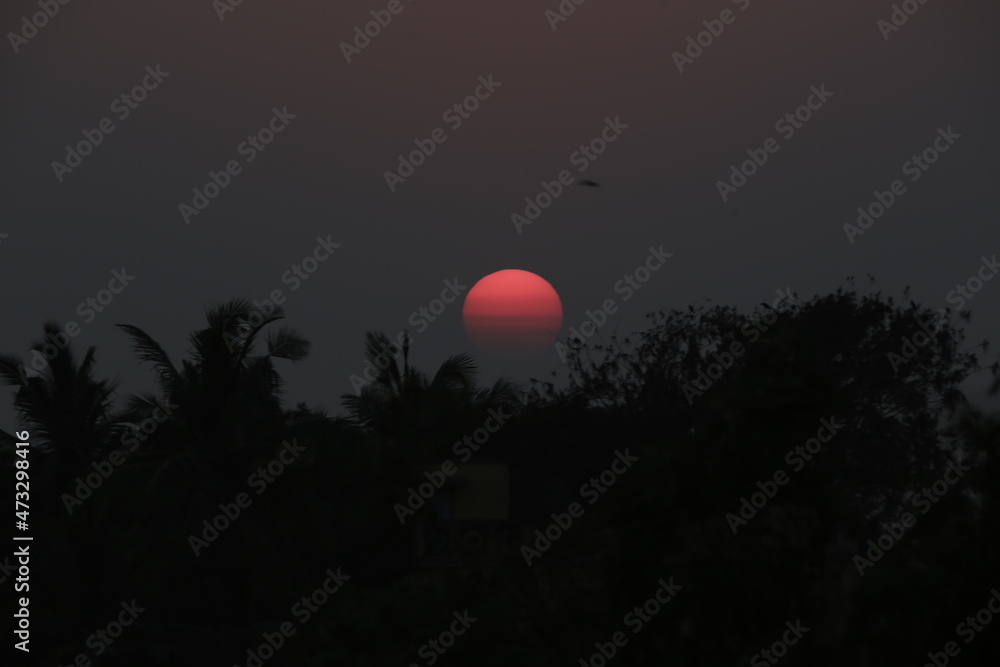View on red sun over silhouettes of palm trees at the sunset View on red sun over silhouettes of palm trees at the sunset