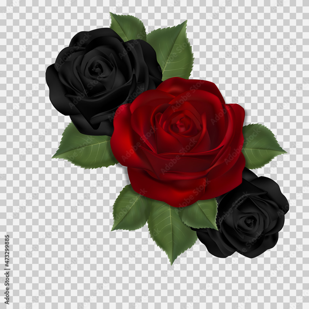 Vector three flowers. Bouquet of red and black roses PNG Stock Vector