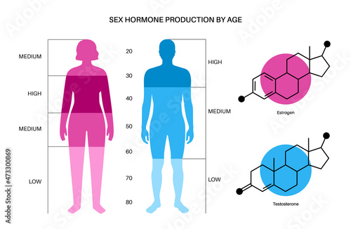 Testosterone estrogen level