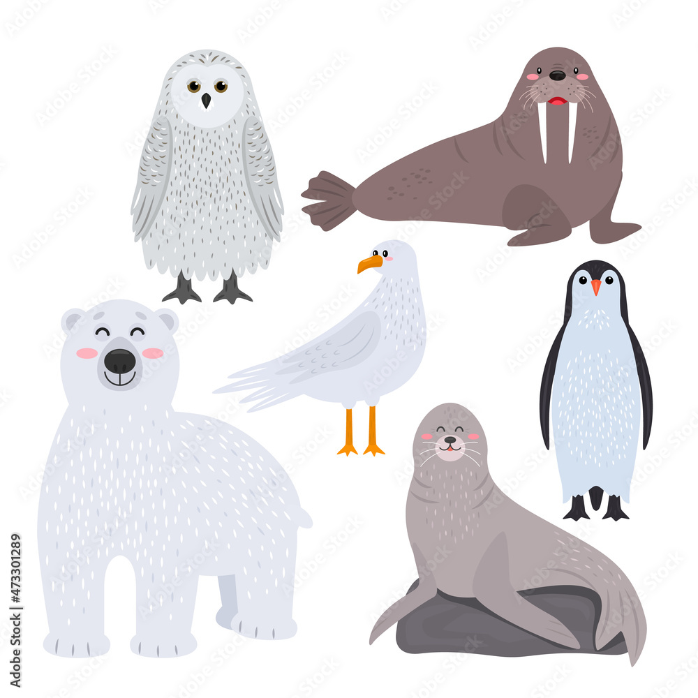 Set of cute arctic animals in cartoon style. snowy owl, penguin, walrus,  fur seal, seagull and polar bear. Stock Vector | Adobe Stock