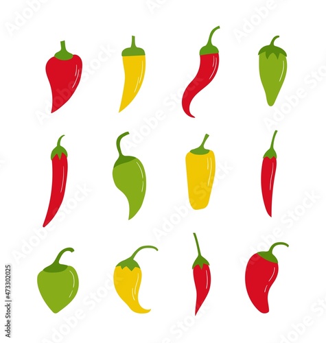 Hand drawn chili peppers set. Vector flat illustration.