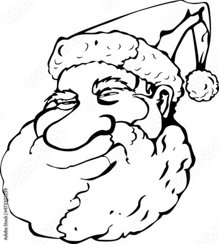 The large head is in a hat and has a very thick beard and a long nose
