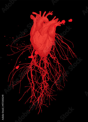Abstract vector banner with a red human heart, blood vessels and veins on a black. Hand-drawn illustration on a theme of anatomy, art, love. Suitable for poster, tattoo, T-shirt design, valentine card