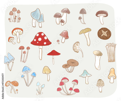 Set of cute isolated hand drawn different mushrooms