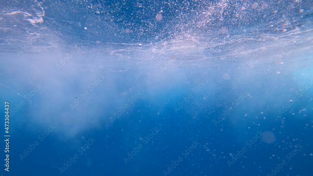 Air bubbles on water surface and sun light beams shining through water. Close up nurse shark suddenly appears. Air bubbles on water surface and sun light beams shining through water. Close up nurse shark suddenly appears.