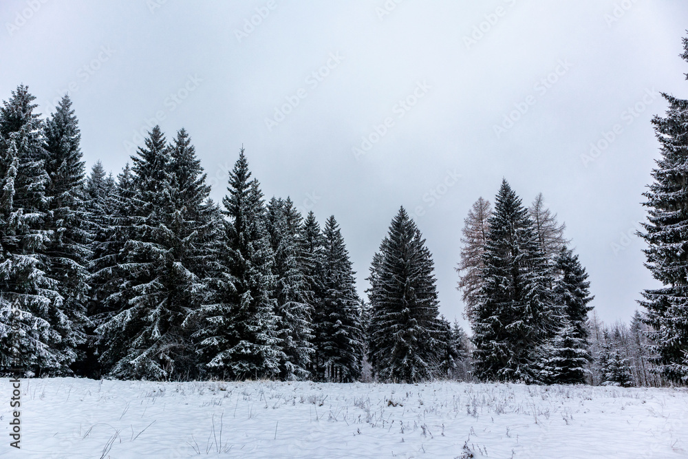 Winterliche Entdeckungstour durch den Thüringer Wald bei Steinbach-Hallenberg - Thüringen Winterliche Entdeckungstour durch den Thüringer Wald bei Steinbach-Hallenberg - Thüringen