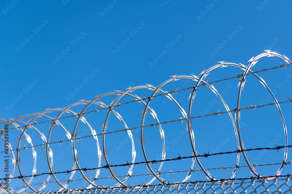 barbwire prison wall with barbed wire fence coiled razor wire perimeter  fence, barb Stock Photo | Adobe Stock