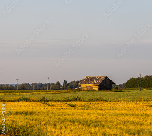 landscape with a barn