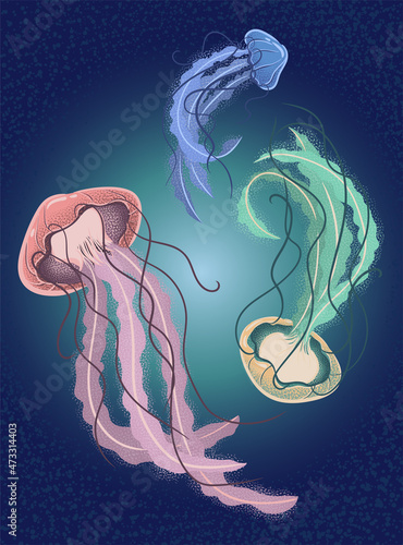 Jellyfish underwater marine on deep blue background. Vector art illustration for postcard, booklet, flyer, etc.