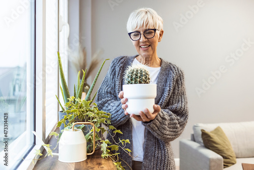 Caring for potted plants. Beautiful mature woman at home in casual clothes. Woman Caring for House Plant. Woman Taking Care of Plants at Her Home Portrait of Elderly Woman Gardening at Home.