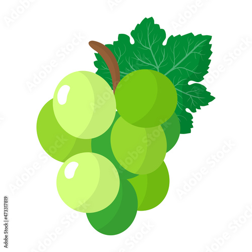 Vector cartoon fresh green grape fruit.