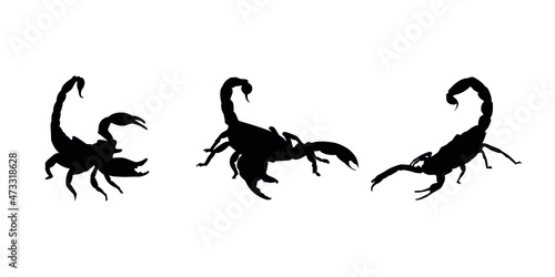 Scorpion vectorized icons, vector illustration, scorpion black silhouette. © Manoel