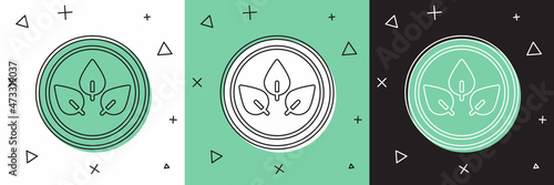 Set Vegan food diet icon isolated on white and green, black background. Organic, bio, eco symbol. Vegan, no meat, lactose free, healthy, fresh and nonviolent food. Vector