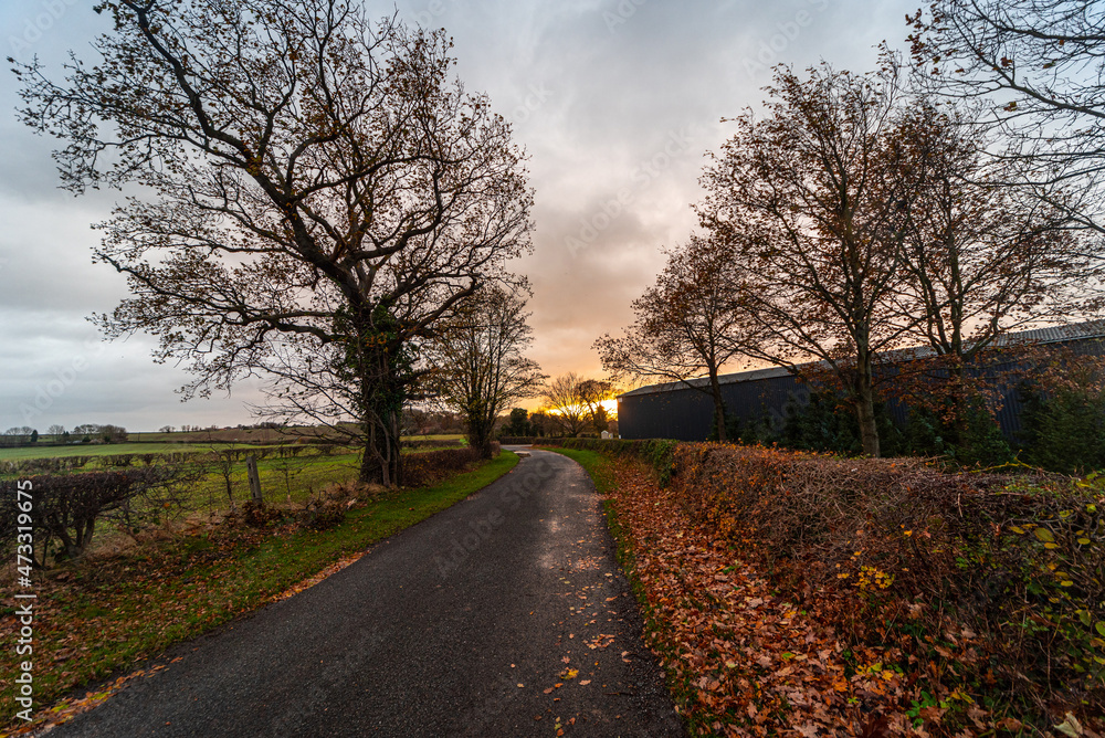 country road in autumn in the UK