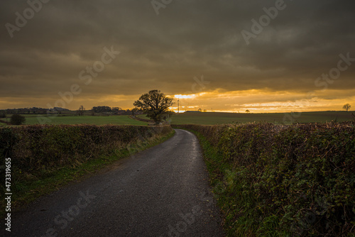 sunset over the road in the autumn in UK