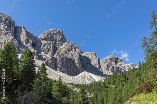 Mountain range of the Italian Dolomites and forest on a beautiful sunny summer day