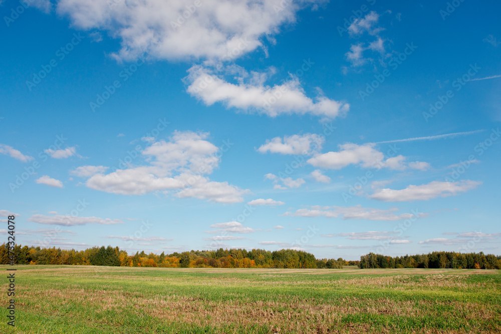 A green grass field with blue sky and white clouds in a landscape photo