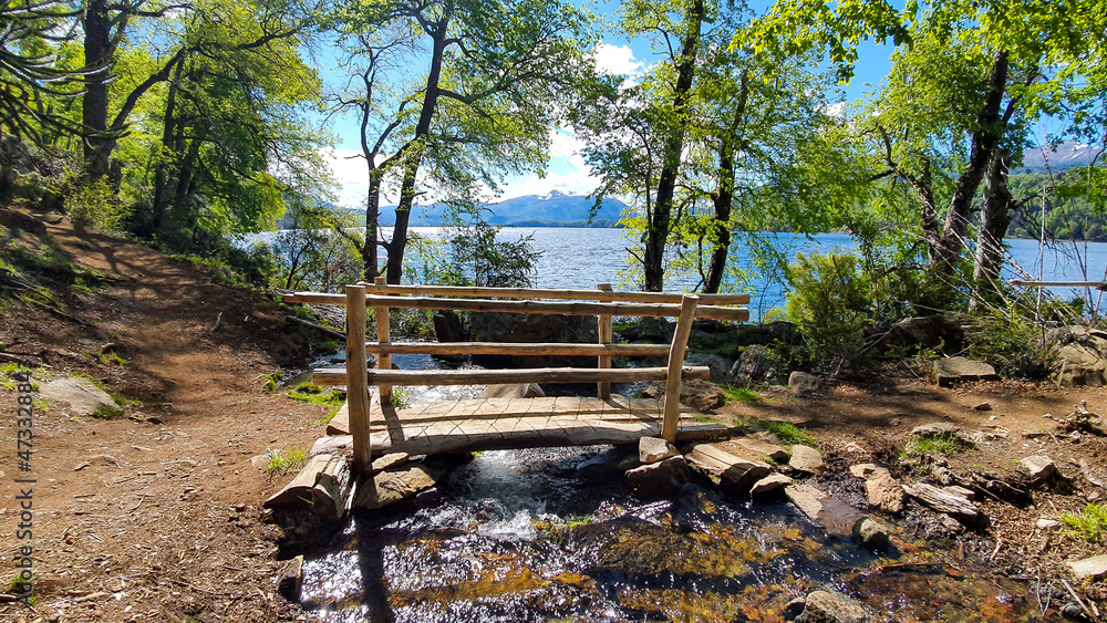 Fototapeta premium Small wooden bridge in forest.