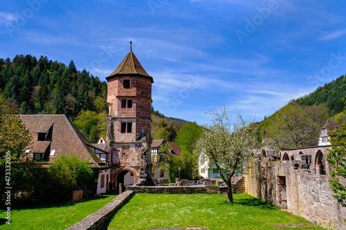 Germany, Baden-Wurttemberg, Calw, Hirsau Abbey in summer photo