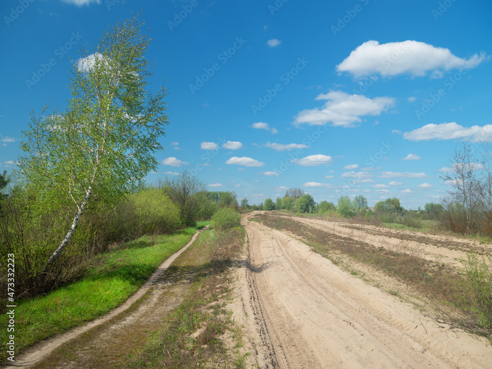 Summer landscape.