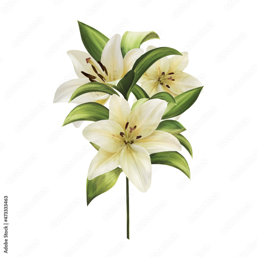 Beautiful card with white lilies, bouquet on white.