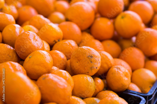 apetitic juicy farm mandarins at market counter