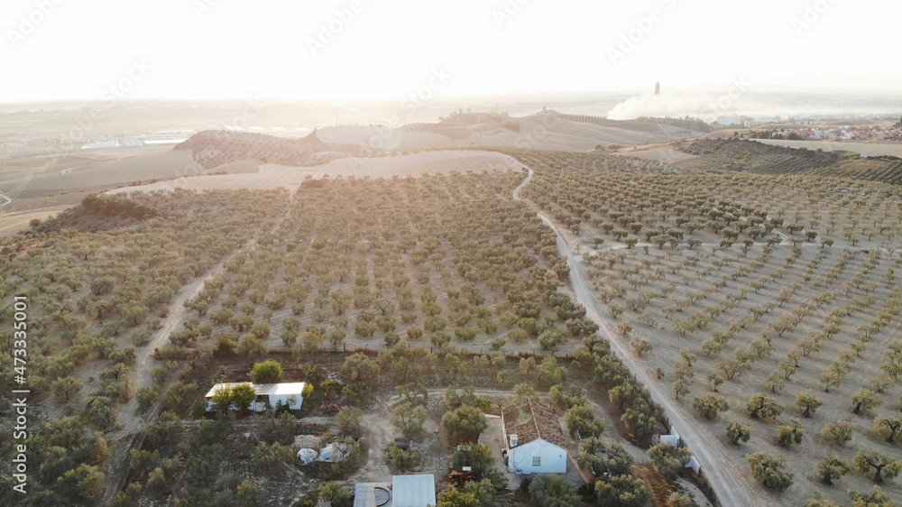 Obraz premium created by dji camera