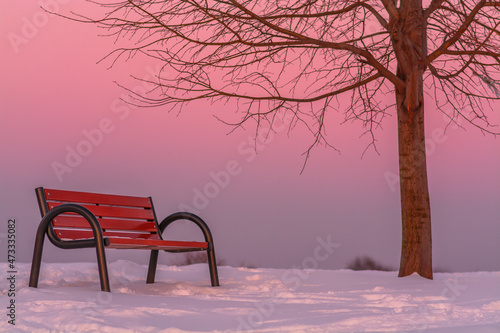 Obraz na płótnie Ławka i drzewo na Wzgórzu Trzy Lipki w Bielsku-Białej zimą  o zachodzie słońca - biały, krajobraz, wzgórze, fototapety | Foteks