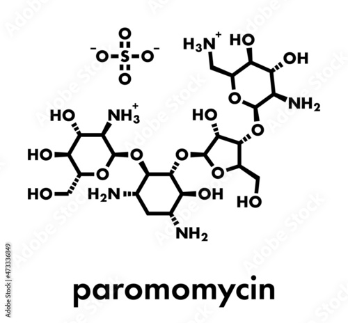 Paromomycin aminoglycoside antibiotic drug molecule. Skeletal formula.