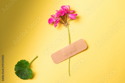 Obraz na płótnie Fresh natural flower attached adhesive plaster on a background. Bandage strip on flower w salonie
