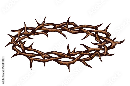 crown of thorns image isolated on white background