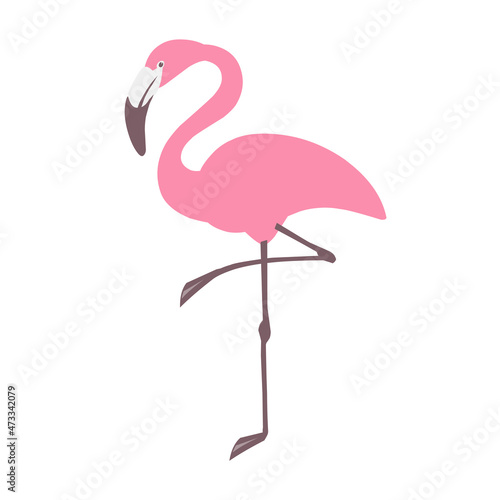 pink flamingo isolated bird character vector simple hand drawn