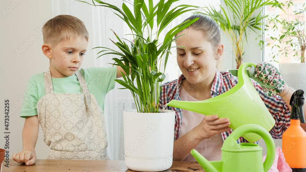 Little boy with mother taking care of domestic flowers growing in pots. Concept of gardening, hobby, home planting. Little boy with mother taking care of domestic flowers growing in pots. Concept of gardening, hobby, home planting.