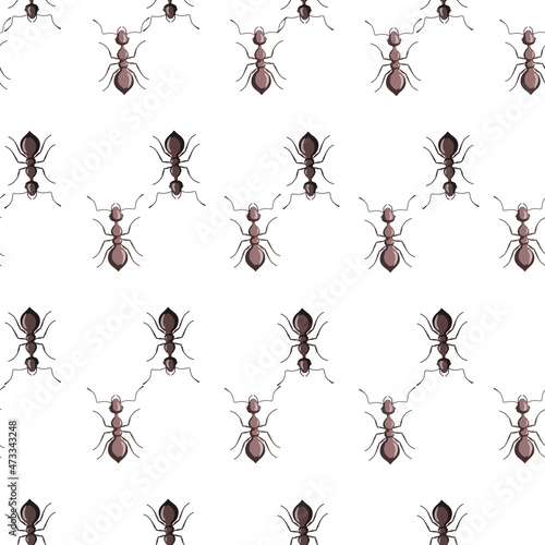 Seamless pattern colony ants on white background. Vector insects template in flat style for any purpose. Modern animals texture.