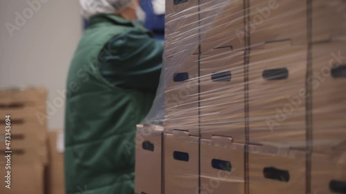 Packing Salad for Delivery Boxes Food Production Factory
